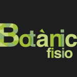 Clínica de fisioterapia Botànic fisio València